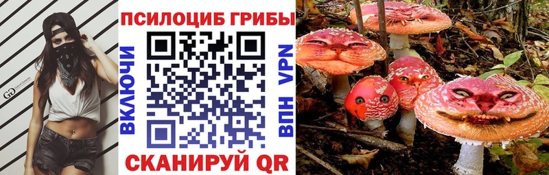 где купить наркоту  Гулькевичи  Галлюциногенные грибы мухоморы 